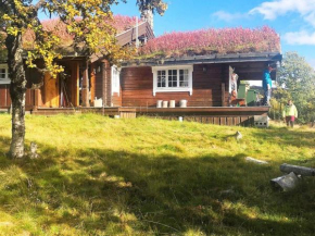 Holiday home Etnedal